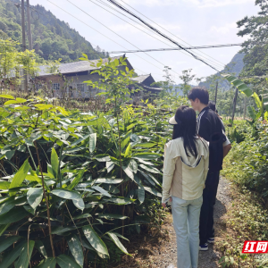 桑植县五道水镇：立足监督职能  护航乡村振兴