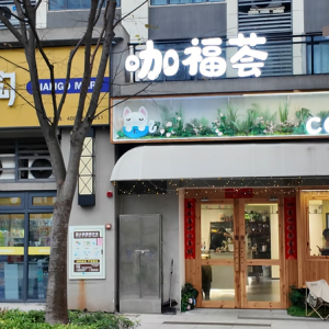 “小账本”里的“大民生”｜返乡青年创业梦 激活县域“咖啡经济” ...