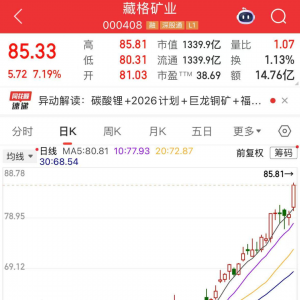 000408，唯一一只10倍有色股！碳酸锂价格突破13万元/吨，超跌锂电池概念股出炉 ...