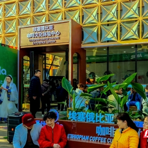 来自咖啡故乡的手，握住制造名城的晨光