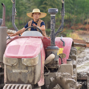 哲学里的郴州 | 北湖“大白话”，上心尖了吗？