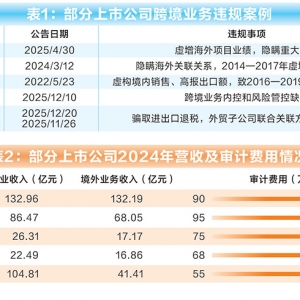 跨境审计难题：高成本低收费之下舞弊风险如何防控？
