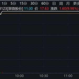 603123，秒涨停！利好来袭，这一概念突然爆发！