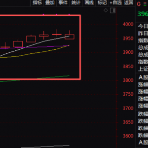 沪指，10连阳！这一板块，午后爆发