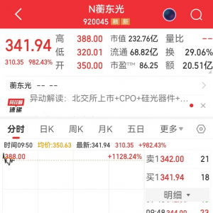 A股又现首日10倍新股！