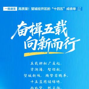 一图速览丨高质量！望城经开区的“十四五”成绩单