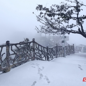 张家界七星山雪后美成童话 元旦可赴冰雪之约