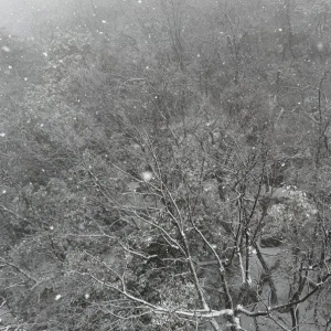 张家界多个景区迎来降雪，元旦可赴冰雪之约