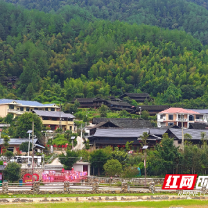 苗乡侗寨振兴长卷映初心——绥宁县长铺子苗族侗族乡走出全域融合发展新路径 ...