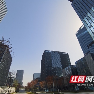 湘江西岸，一座新城正拔节生长