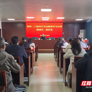 安仁县“三维宣讲梯队”推动新领域学习走深走实