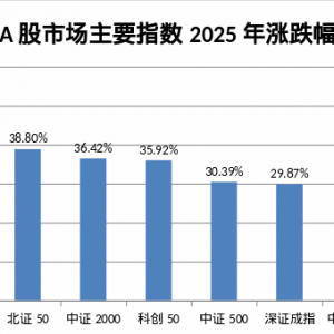 2025A股收官！超500股翻倍