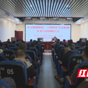 祁阳市宣传思想文化系统学习贯彻党的二十届四中全会精神宣讲报告会召开 ...