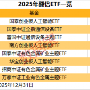 年度翻倍ETF数量创历史新高，“涨幅王”花落谁家？