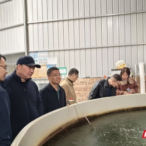 组团送服务 集智促发展 湘潭市农业科技特派员赋能乡村产业振兴 ...