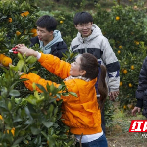 人民民主在基层｜双峰县：决议作“金钥匙” 乡村绘“新画卷” ...
