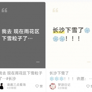 长沙，刚刚下雪籽了！