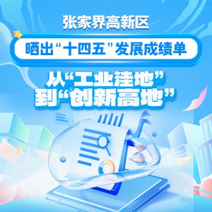 张家界高新区晒出“十四五”发展成绩单：从“工业洼地”到“创新高地” ...