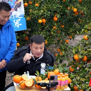 道县：冠军助农暖橙乡 零佣金直播助力公益事业