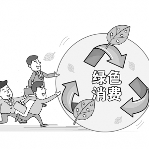 9部门发文实施绿色消费推进行动