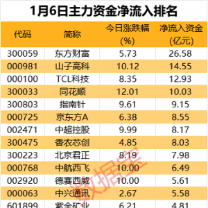 主力资金丨尾盘主力资金大幅出逃2股