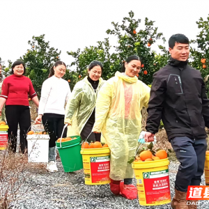 道县：“村嫂直播队”走红 数字赋能助力乡村振兴