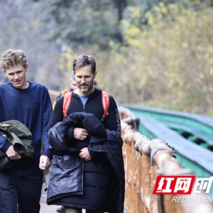 张家界市武陵源区：乐享冬日旅行时光（组图）