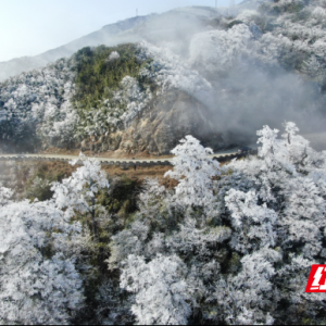 城步：玉树琼花映蓝天 南山之巅迎2026首场雾凇奇观