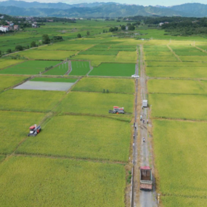 回首“十四五” 奋进新征程｜祁阳：筑牢粮仓根基 拓展产业富路 ...