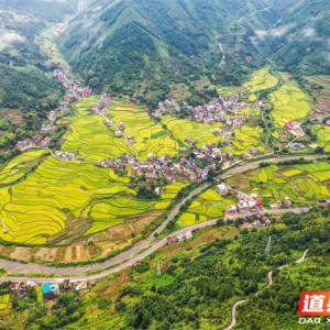 道县：聚焦推动“三化共进” 加快城乡融合发展步伐