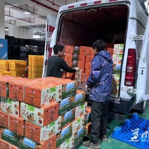 双向奔赴！道县十四辆脐橙专车连夜启程，赴苏鄂之约，谢球迷厚爱！ ...