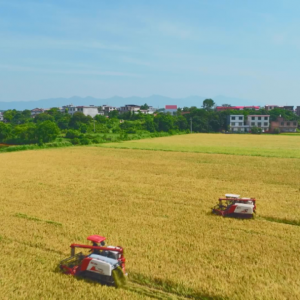 湖南安仁：“农业强县” 蝶变跨越