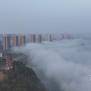 央媒看湖南丨湖南冷水滩：雾绕城朦