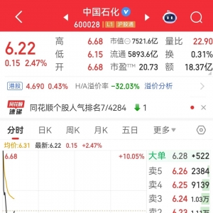 600028，开盘涨停，1分钟内股价跳水！