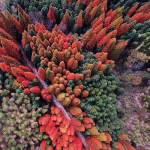 炎陵县再获“美丽中国·深呼吸小城”美誉‌