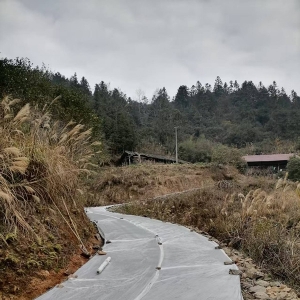 沅陵：担当作为解民忧   精准帮扶显成效