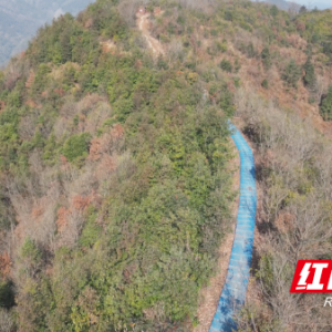登山好去处 祁阳太白峰登峰森林康养步道悄然亮相