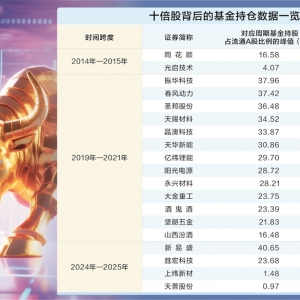 解码基金“擒牛术”：布局十倍股的三大核心逻辑