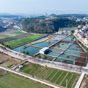 湖南新田：和美乡村 生态宜居（组图）