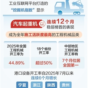 时报数说 2025年“最忙”工程机械揭晓 我国重大项目建设持续推进 ...
