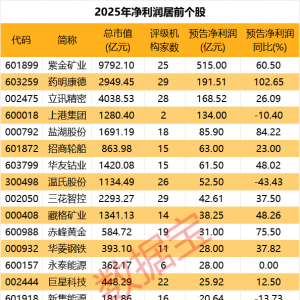首批2025年年报预告来了！22股净利润超10亿元！