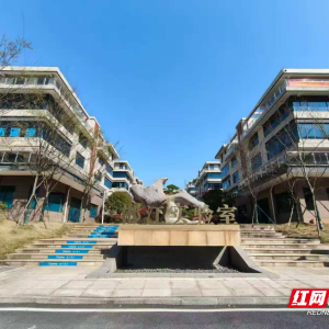 奔涌向新② | 科创平台“满园春”