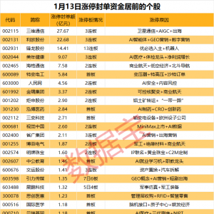 揭秘涨停丨两大热门股封单金额超20亿元