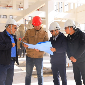 临武县：项目建设“加速跑” 点燃经济“强引擎”