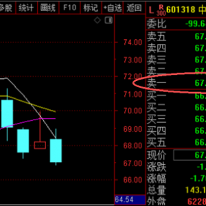 多只权重股，尾盘现巨额压单