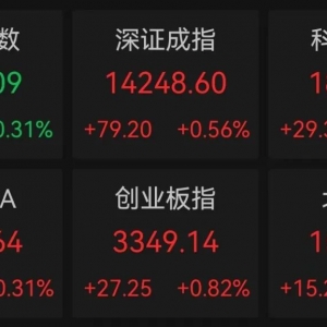 600036，压单超65亿元，多只龙头股现大额卖单！电网投资有望加码，低市盈率+成交活跃 ...