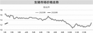 产能充裕叠加需求不足 上半年生猪市场或延续磨底
