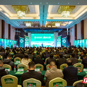 哲学里的郴州 | 千年古郡，一“香”惊人