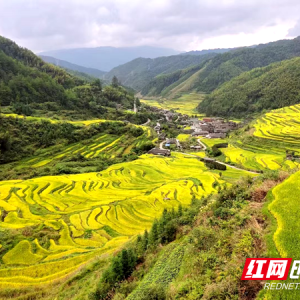城步：八十里南山下 深藏着一座通往幸福的“天梯”