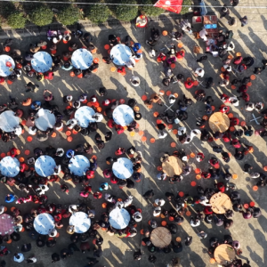 视频丨一场乡土邀约燃爆全网！超万人奔赴岳阳临湘庖牛宴